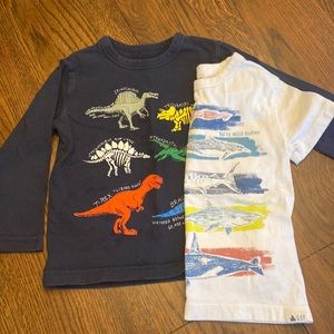 Gap Dinosaurs and Sea Life Shirt Bundle